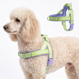 Violet Lime Grab and Go||size:4