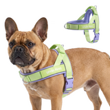 Violet Lime Grab and Go||size:2