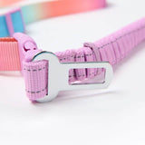 Pastel Icing Neoprene Leash