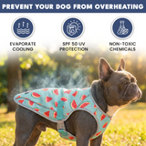 Popsicles Watermelon||size:S,M,L,XL,2XL,3XL,4XL,5XL