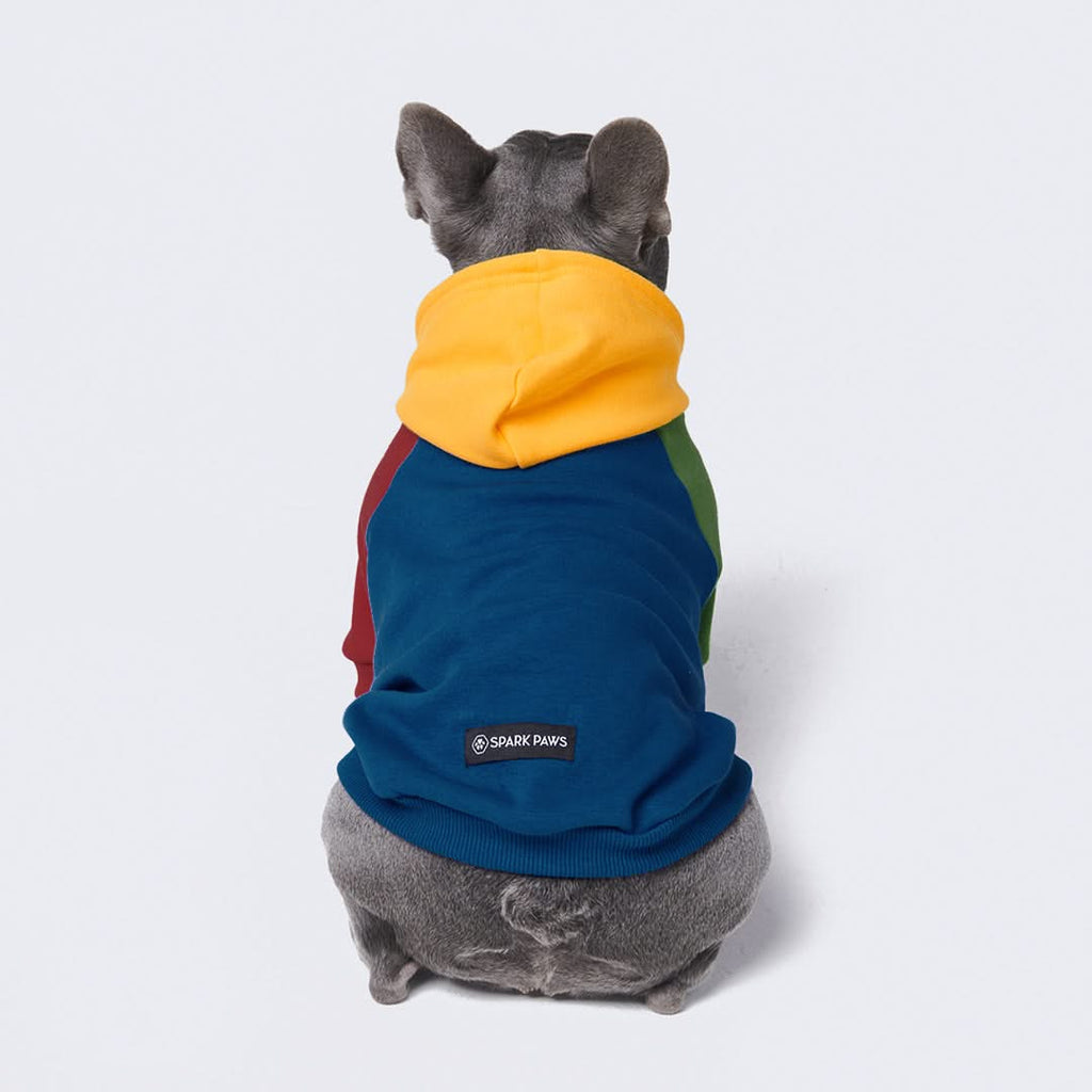 Paws hoodie store