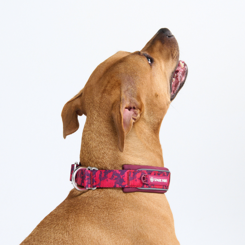 Fuchsia Camo Martingale Collar||size:C,D,E