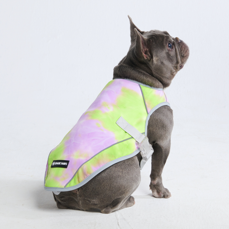 Dog Cooling Vest Neon Purple XL