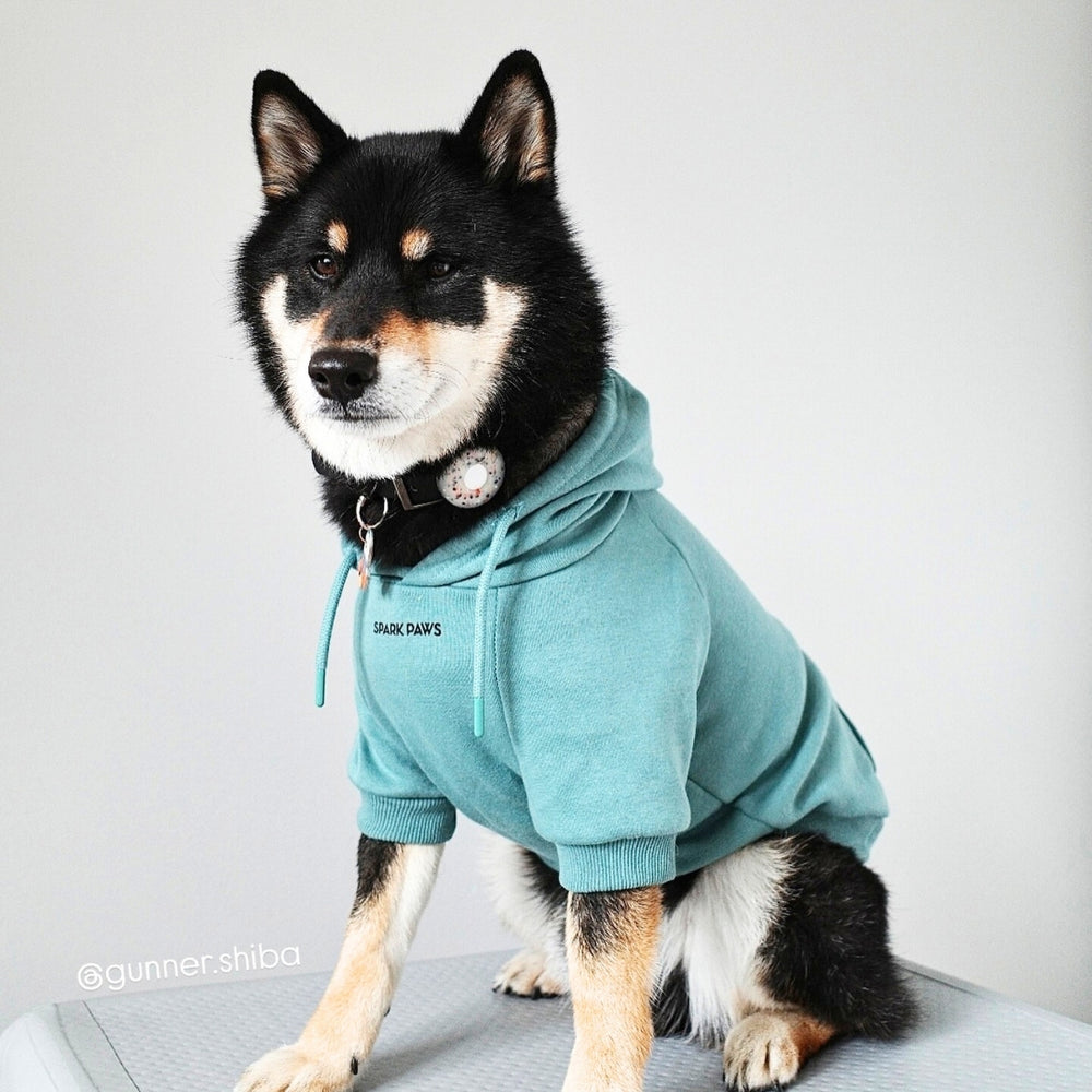Matching Dog And Owner Essential Hoodie