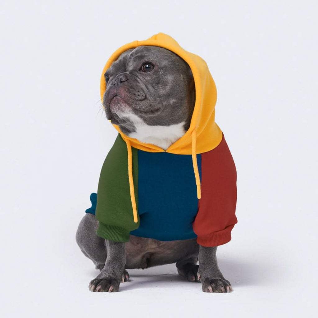 Primary color block hoodie on sale