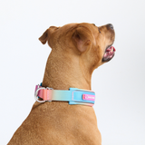 Pastel Icing Martingale Collar||size:C,D,E