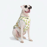 Dog Cooling Vest - Kiwi