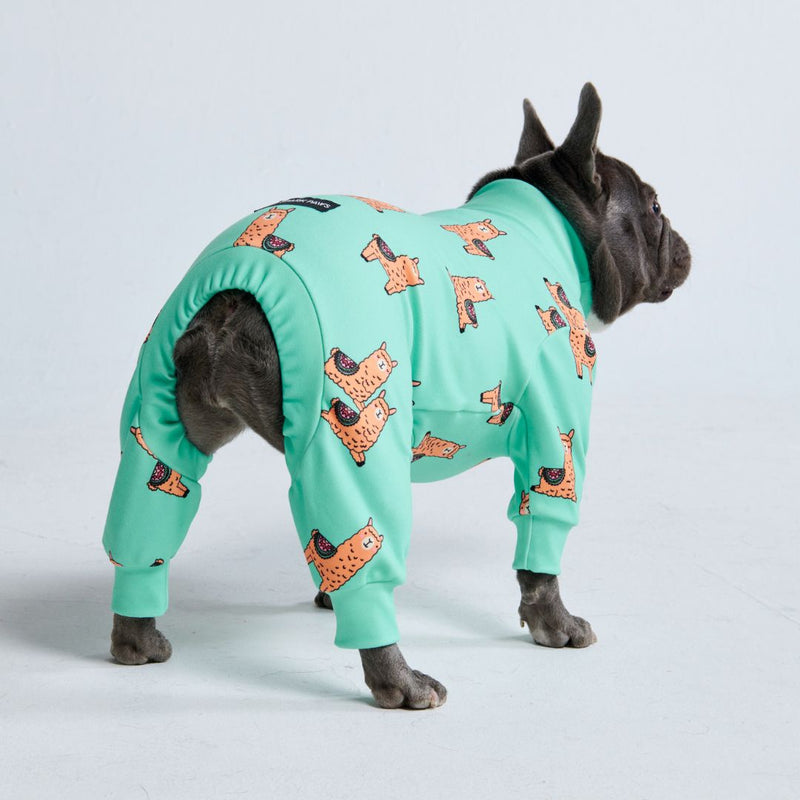 Dog Pajama - Lazy Llama - Turquoise