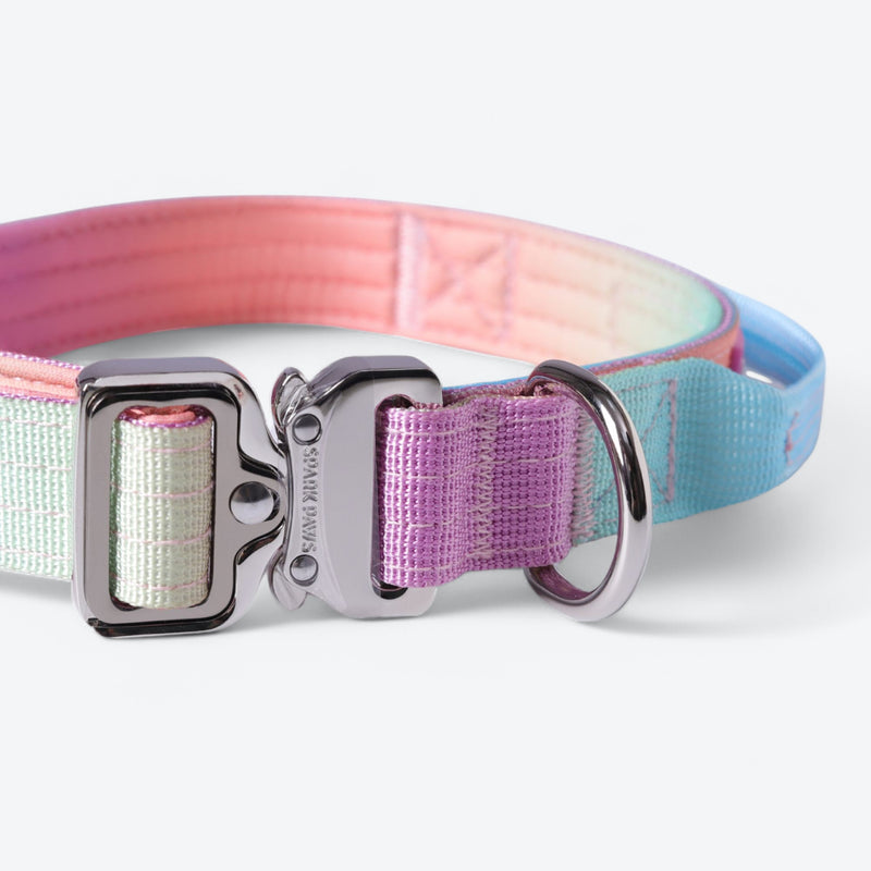 Comfort Control Collar - Pastel Icing