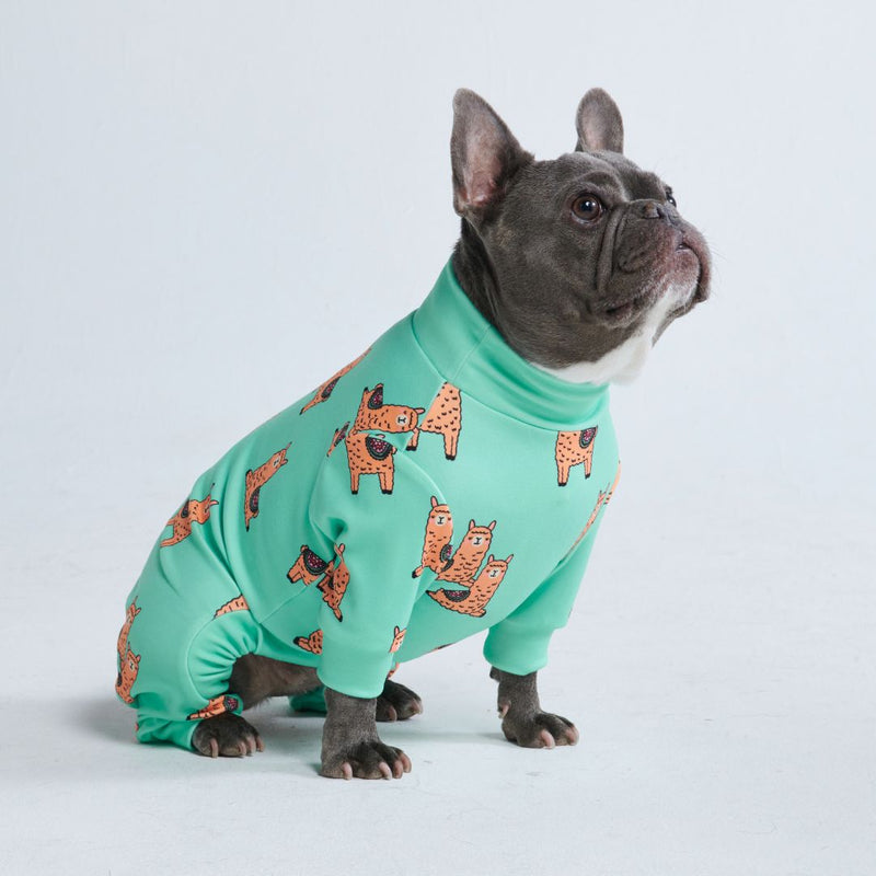 Dog Pajama - Lazy Llama - Turquoise