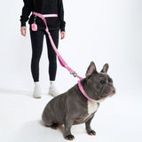 Multipurpose Seatbelt Handsfree Leash & Poop Bag Holder Set - Pink