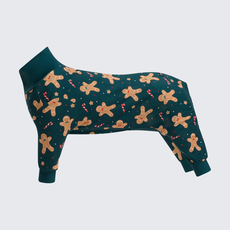 Spark Paws Christmas Dog Pajama Matching Christmas Prints for Dog and Owner