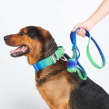 Lime Wave Neoprene Leash