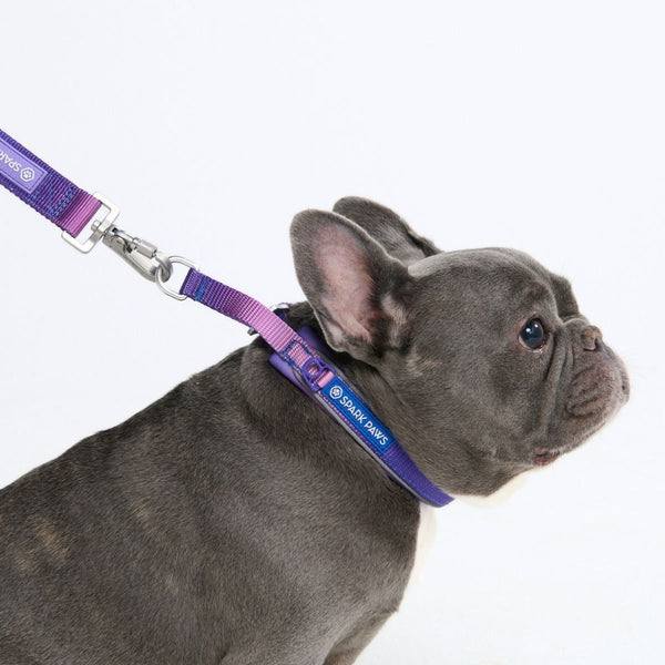 90s Retro Martingale Collar||size:A,B