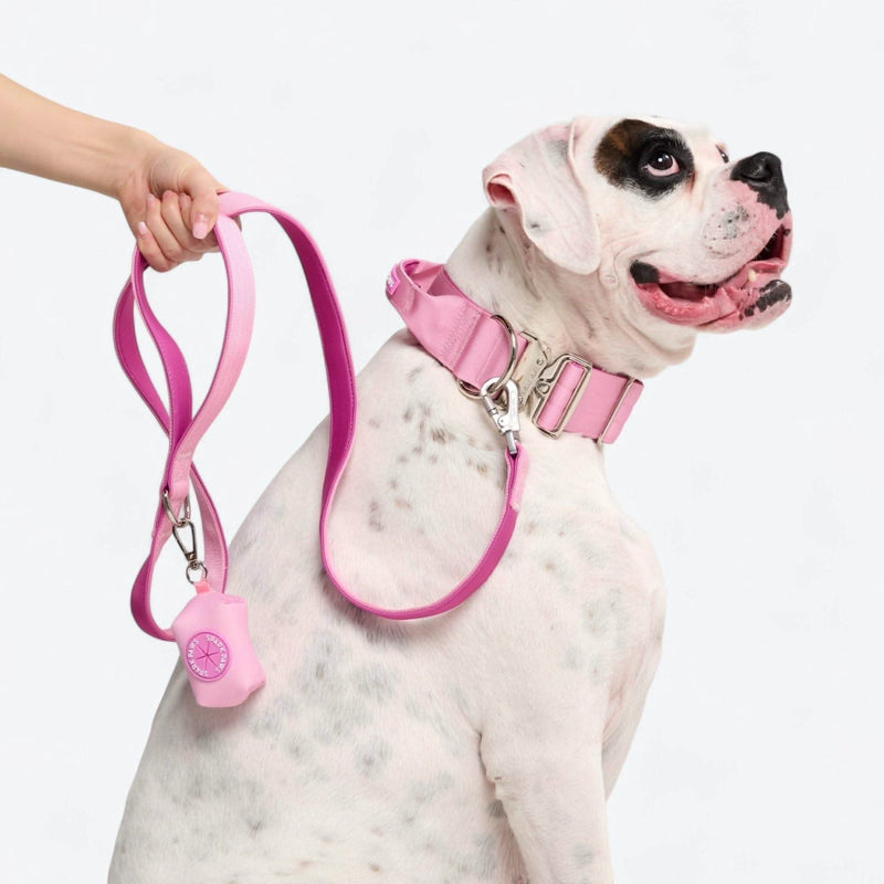 Pink Neoprene Leash