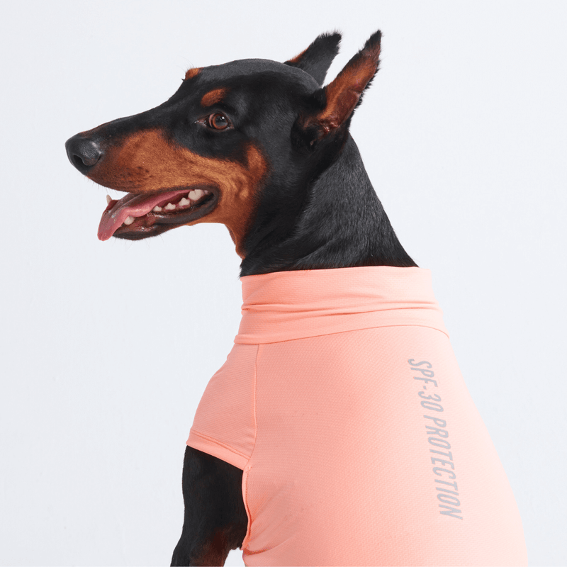 Dog sunscreen shirt shop
