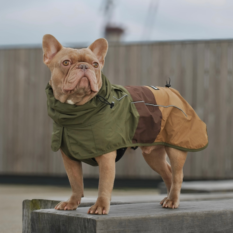Breatheshield™ Dog Raincoat - Green Brown Tan – SPARK PAWS