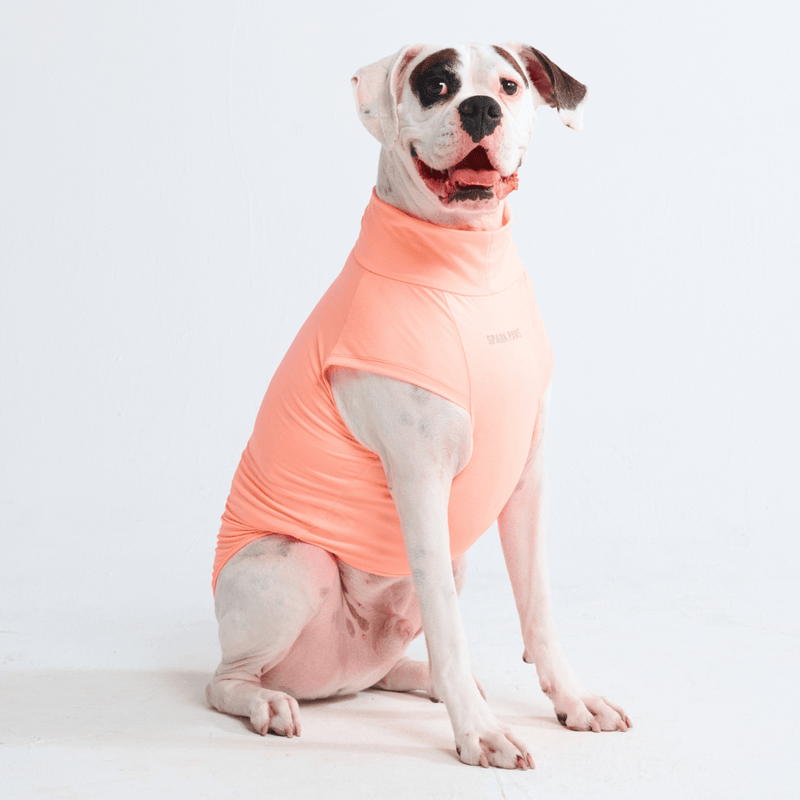 Spark Paws Sunblock Dog T Shirt SPF 30 UV Protection Lightweight Breathable Durable