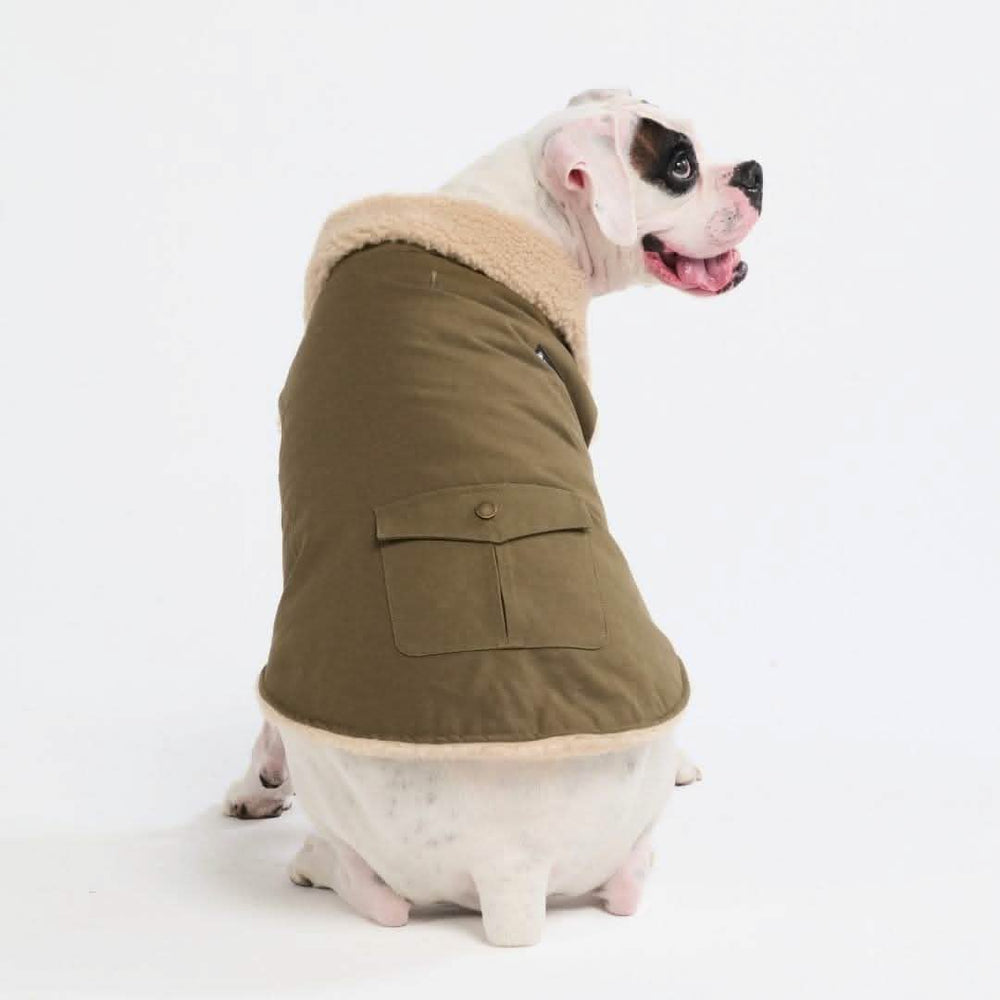 ジャケット・アウター dog All-Terrain Duck Insulated Dog Jacket Coat – SPARK PAWS