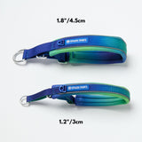 Martingale Collar - Lime Wave