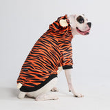 Halloween Dog Hoodie - Tiger