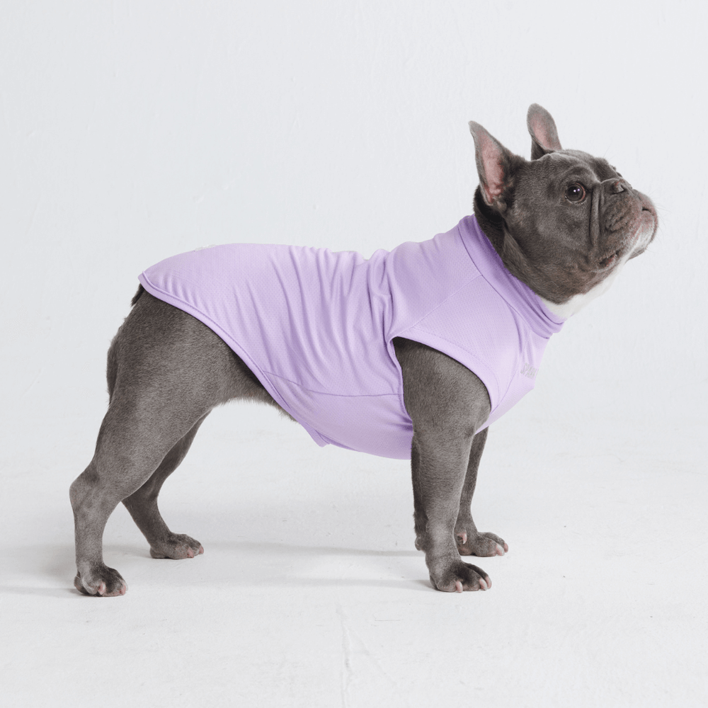 Sunblock Dog T-Shirts – SPARK PAWS