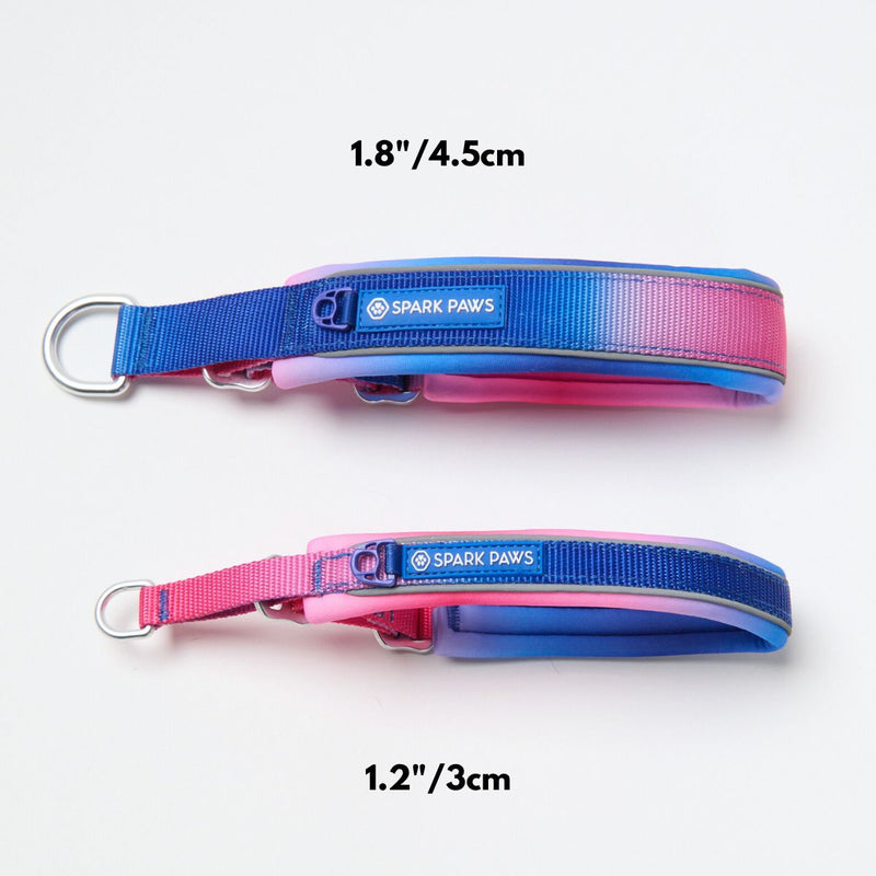 Martingale Collar - Snow Cone
