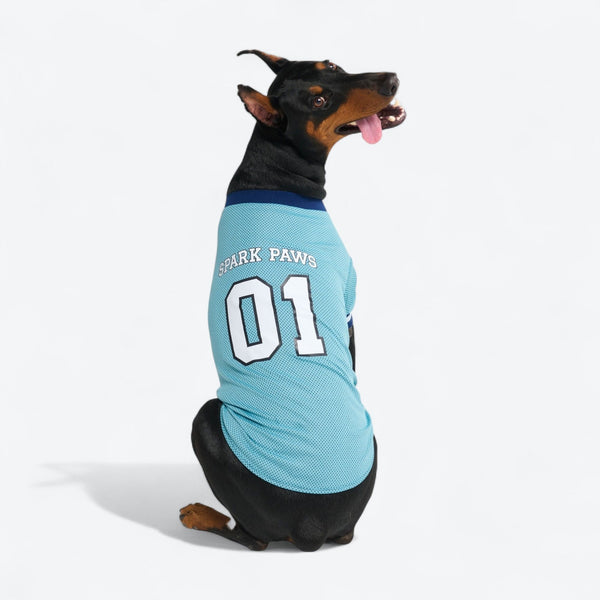 Football Mesh Jersey - Blue