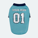 Football Mesh Jersey - Blue
