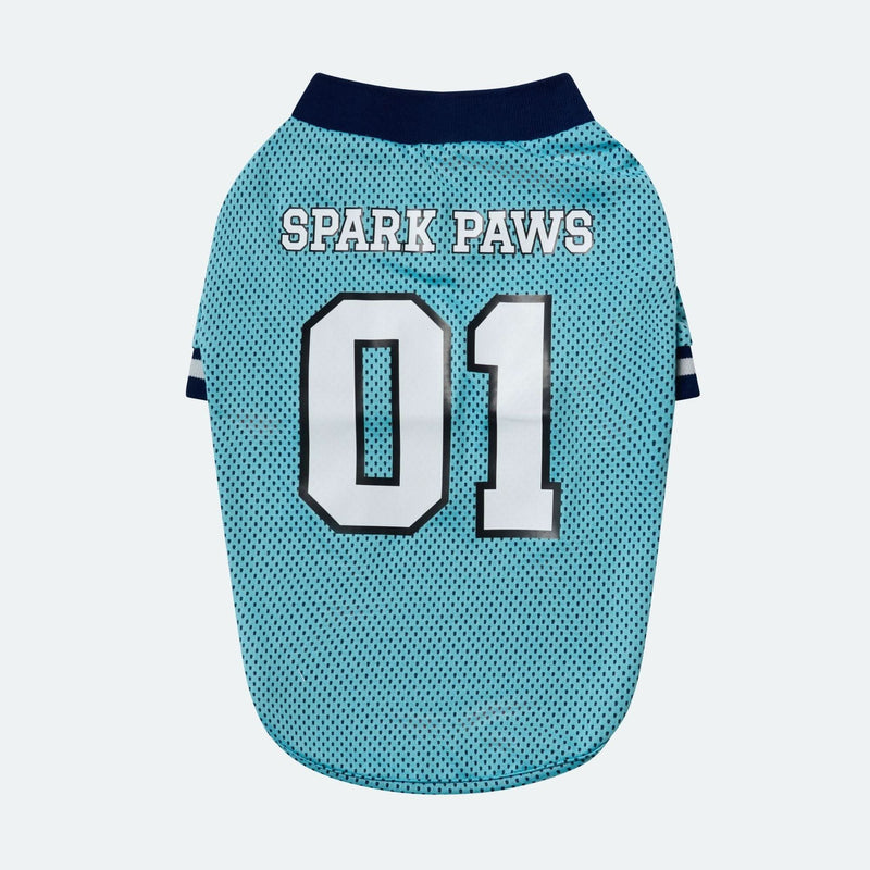 Football Mesh Jersey - Blue