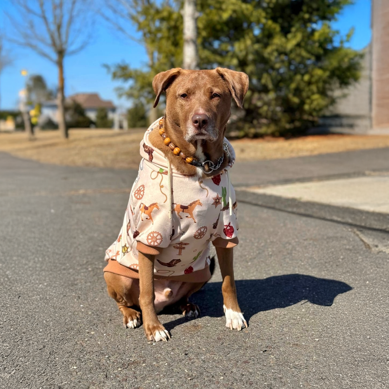 Rodeo Hoodie||size:S,M,L,XL,2XL,3XL,4XL,5XL
