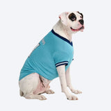 Football Mesh Jersey - Blue