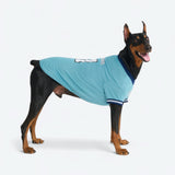 Football Mesh Jersey - Blue