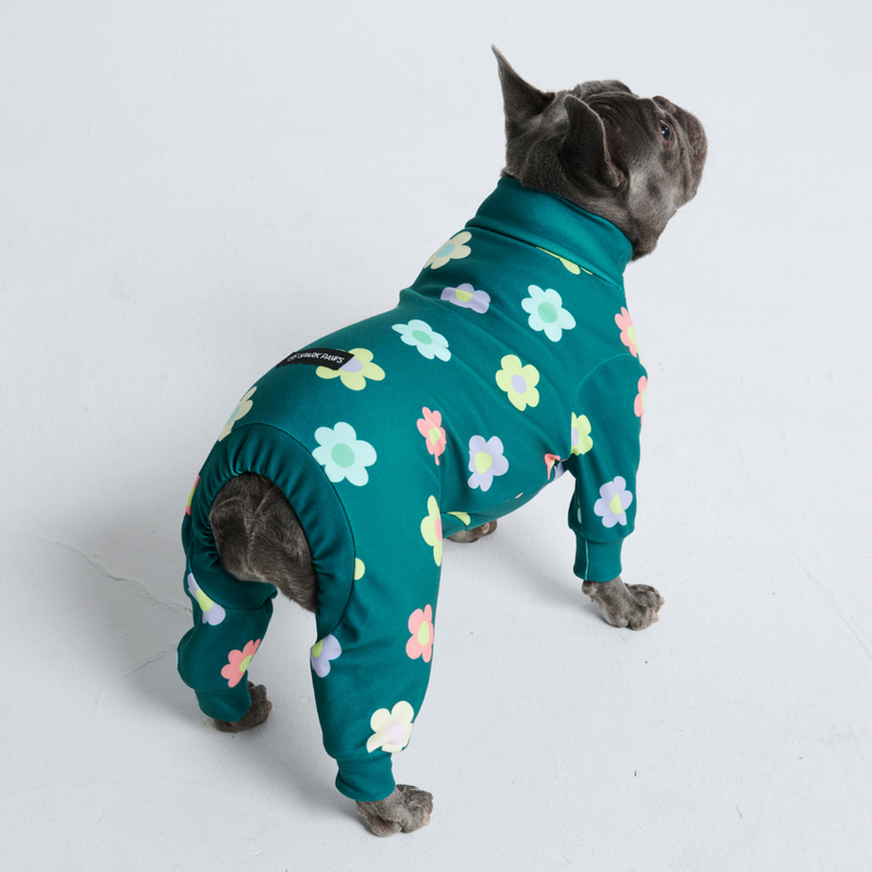Dog Pajama - Flower Green