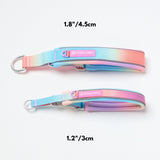 Martingale Collar - Pastel Icing