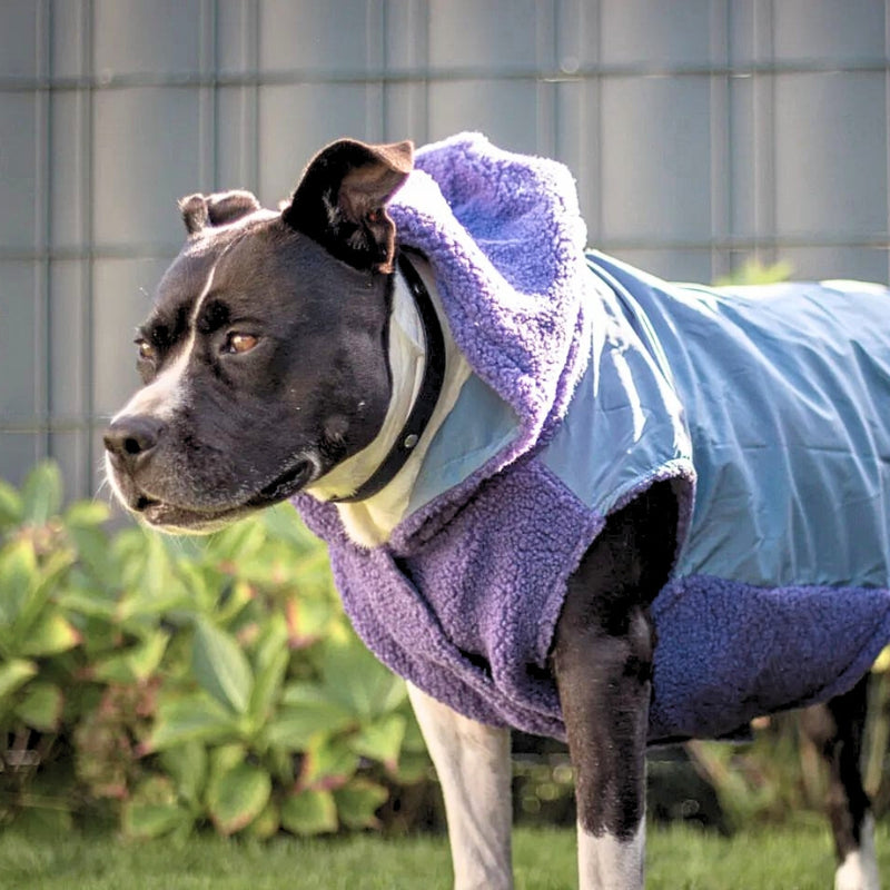 Spark Paws Reversible Jacket Purple and Blue XL