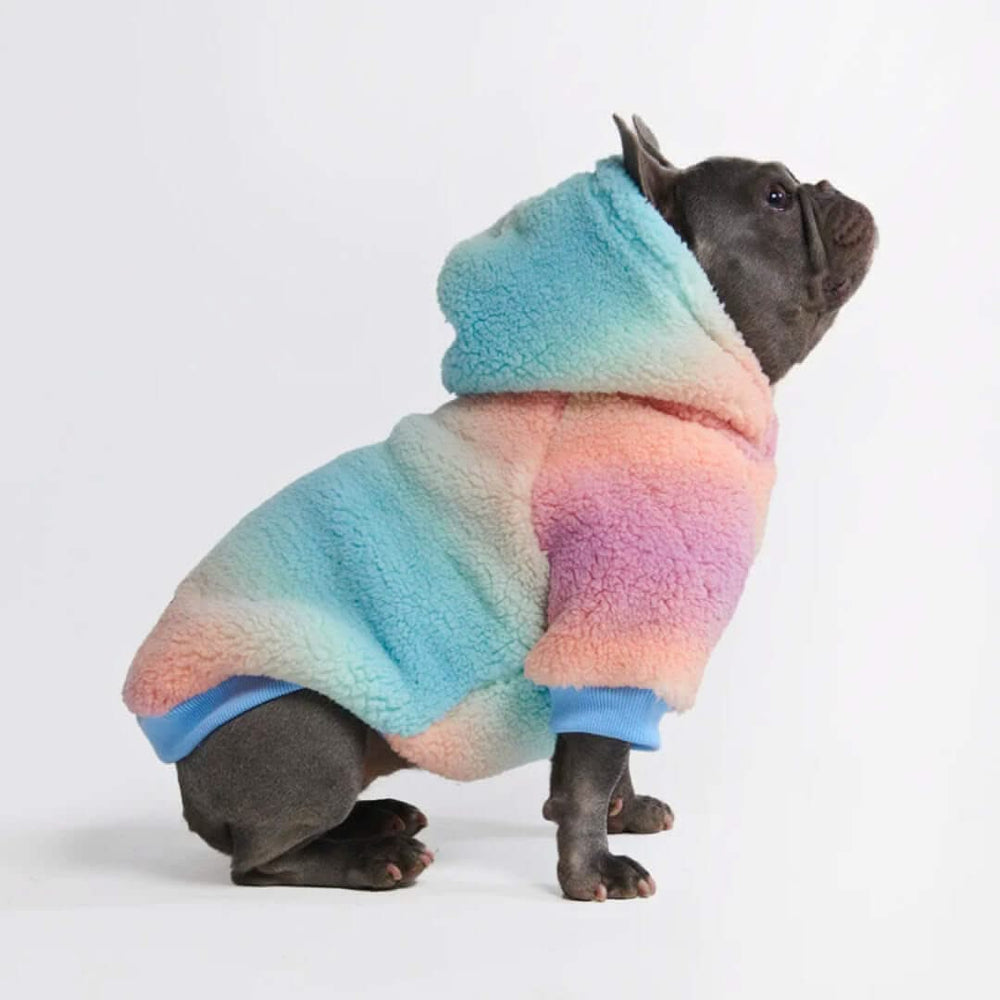 Frenchie blanket hoodie best sale