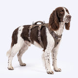 Tan Camo Escape Proof||size:3