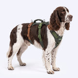 Green Brown Escape Proof||size:3