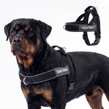 Black Grab and Go||size:6