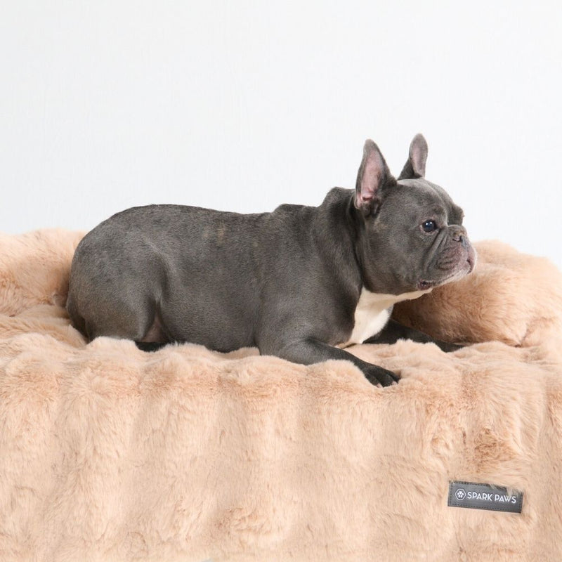 Calming Fluffy Couch Cover Dog Bed - Beige