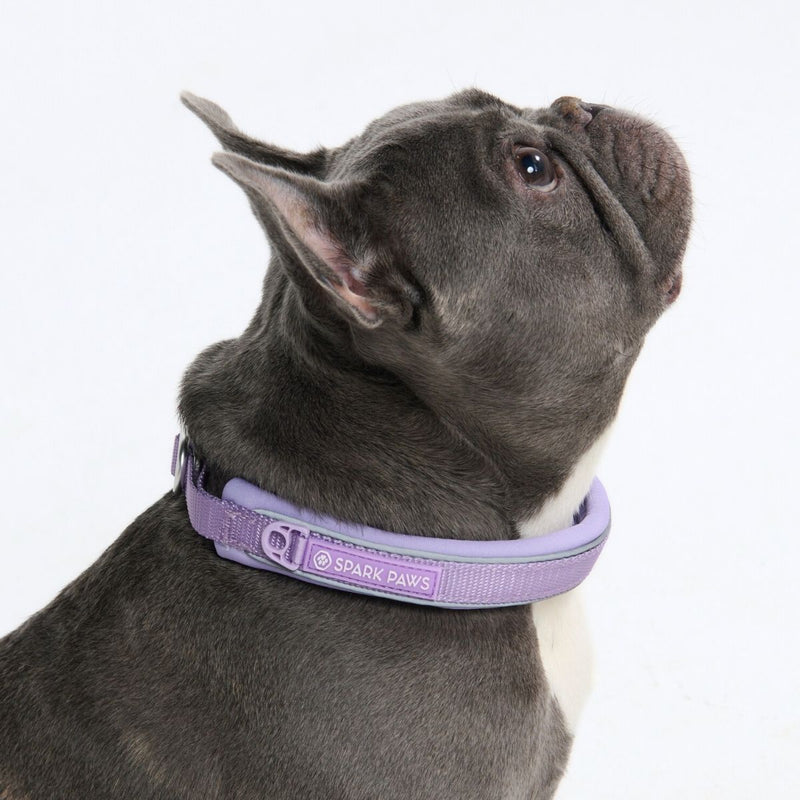 Lilac Martingale Collar||size:A,B