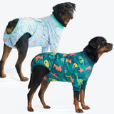 Dinosaurs and Dragons||size:5XL
