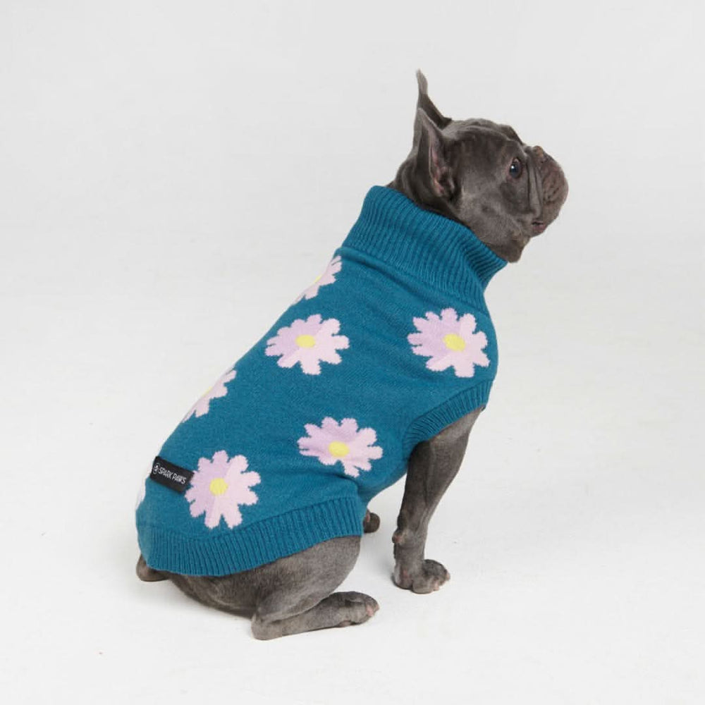 Knit Dog Sweater Jumpers for Small and Big Dogs – SPARK PAWS Knit Dog Sweater Jumpers for Small and Big Dogs – SPARK PAWS