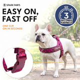 Fuchsia Camo Grab and Go||size:1,2,3,4,5,6