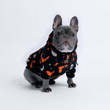Halloween Dog Hoodie - Black