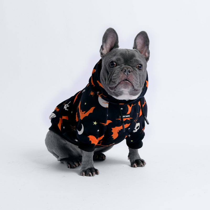 Halloween Dog Hoodie - Black