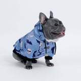 Halloween Dog Hoodie - Blue