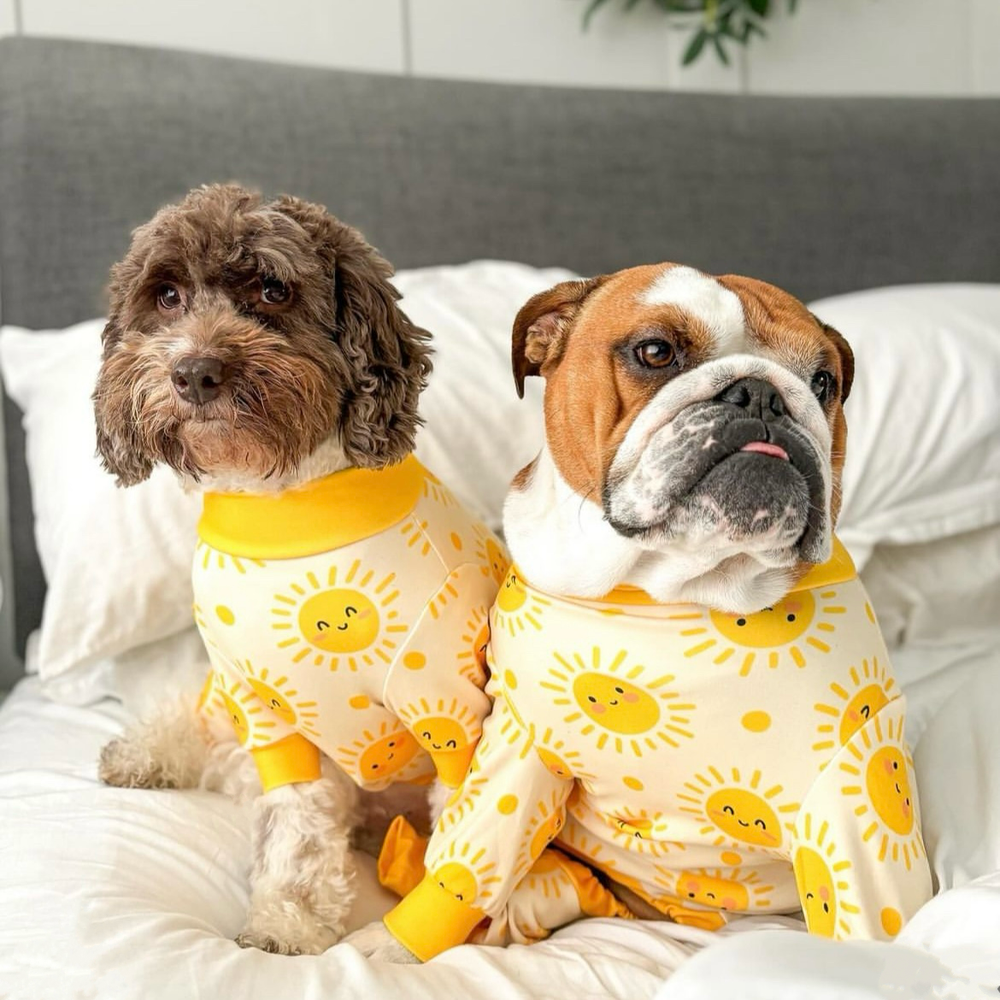 Dog in pjs hotsell
