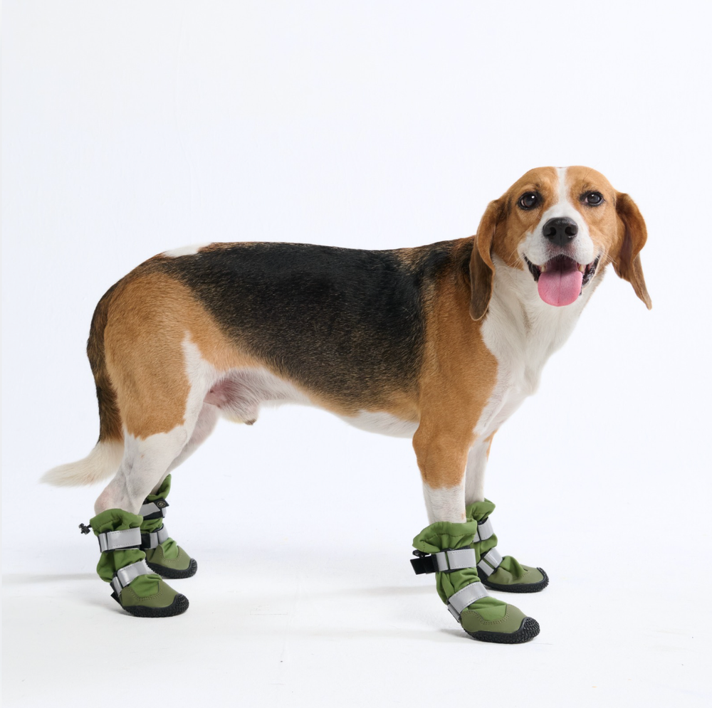 Dog christmas boots clearance